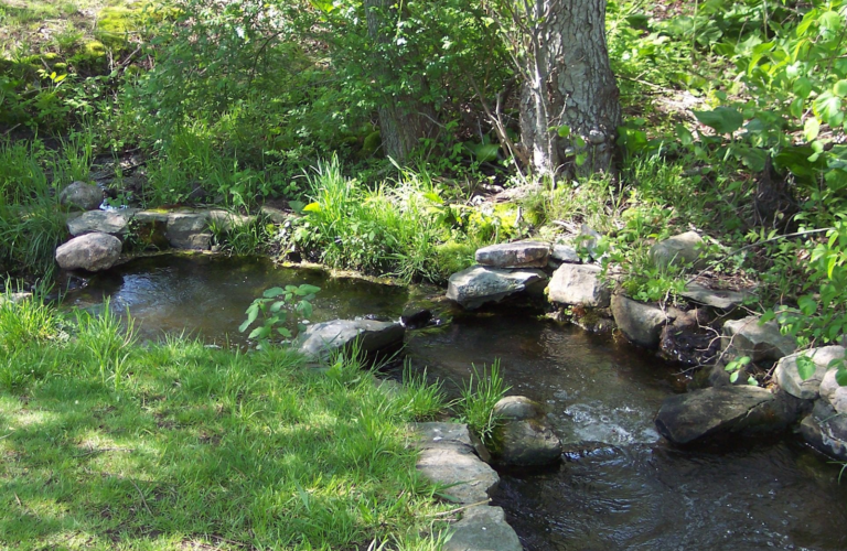 brook-stream